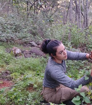 IMA apoia pesquisa sobre monitoramento da fauna silvestre em Serra do Craunã