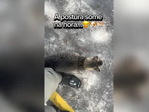 Policial militar brinca ao mostrar “fraqueza” durante patrulha