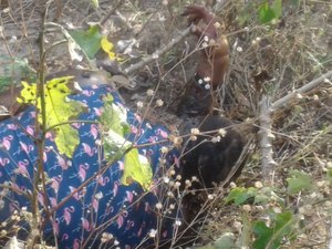 Jovem que estava desaparecido há 5 dias é encontrado morto 