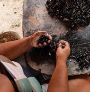Maceió investe no fortalecimento das marisqueiras e na preservação da Lagoa Mundaú