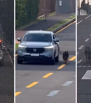 Motorista dirige carro com cachorro preso do lado de fora pela coleira, no Paraná