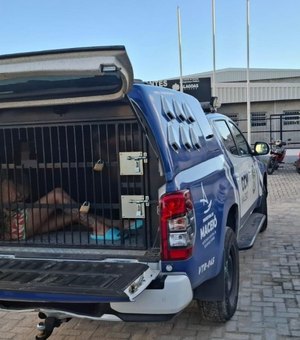 Guarda Municipal apreende drogas em casa de passagem em Maceió