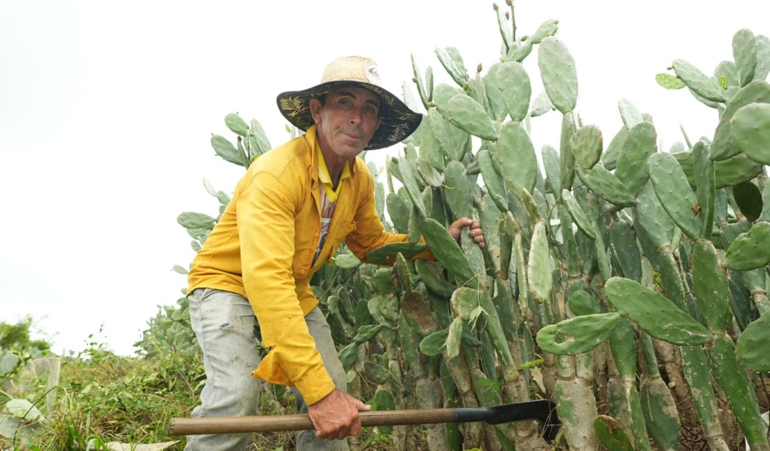Prefeitura de Girau do Ponciano divulga datas de pagamento para famílias agricultoras