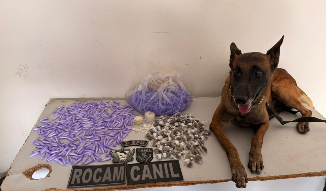 Polícia apreende cocaína, crack e maconha em Arapiraca