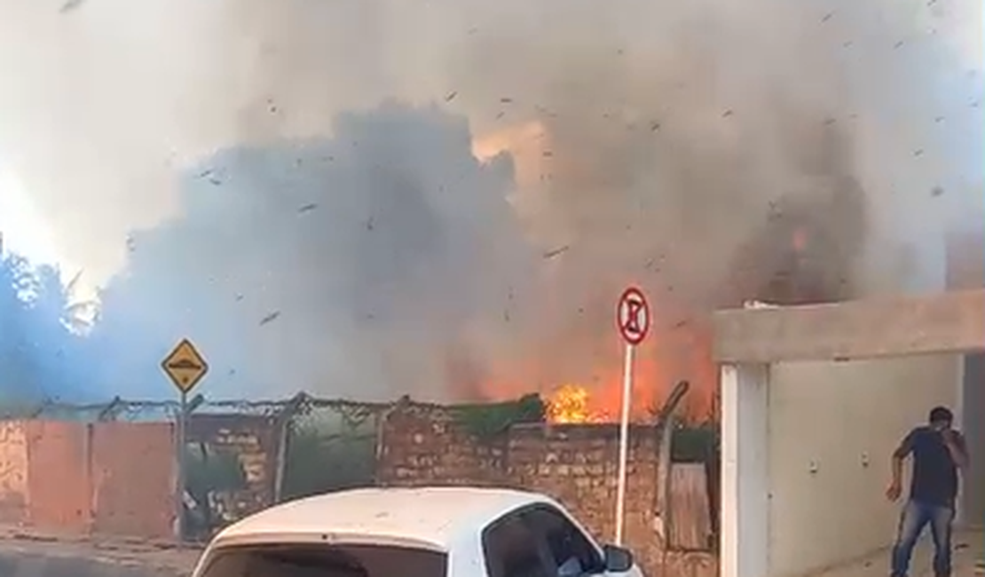 Terreno baldio pega fogo e mobiliza bombeiros no bairro Cavaco, em Arapiraca