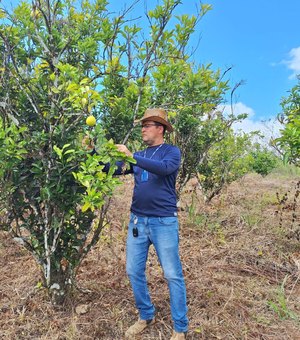 Adeal realiza trabalho de campo para manutenção da área livre de doença que atinge a laranja