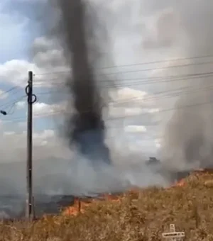 Fogo atinge vegetação às margens de rodovia na zona rural de Arapiraca