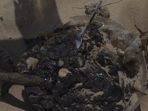 Novas manchas de óleo chegam aos litorais do Nordeste