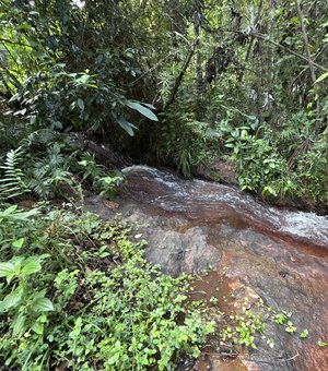 Rota do Cacau amplia ecoturismo e preservação ambiental em Matriz de Camaragibe