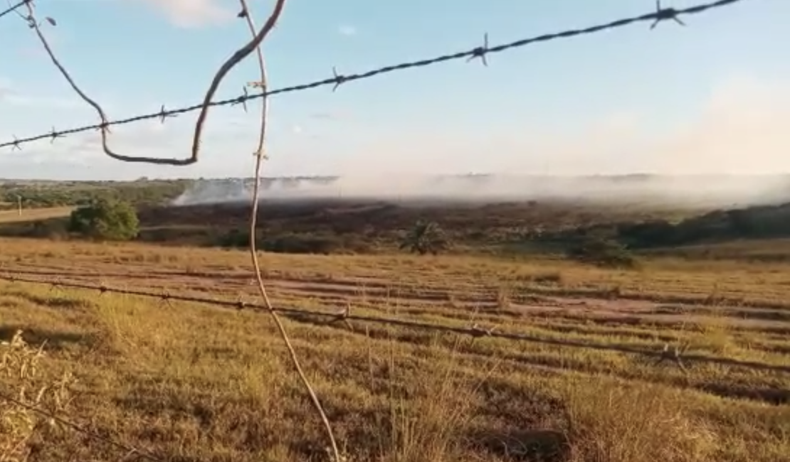 Incêndio em vegetação próximo ao Brisa do Lago prejudica motoristas na AL-115