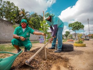 Turismo Comunitário leva plantio de árvores ao Pontal da Barra nesta sexta (10)