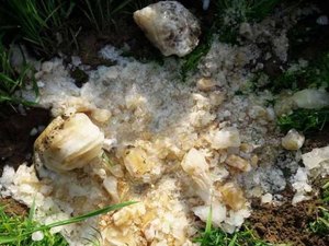 Após vazar de avião, fezes atingem vilarejo indiano