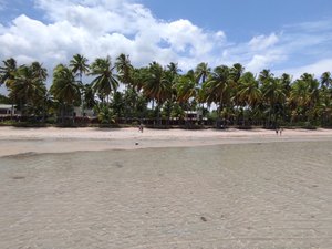 Maragogi: MPF investiga construção de muro de 400 metros na Praia da Bruna