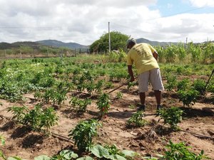 Agricultura informa sobre prorrogação do prazo para inscrição no Garantia-Safra 2024/2025