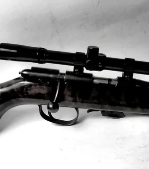 Mandado judicial resulta na apreensão de carabina e munições em Maribondo