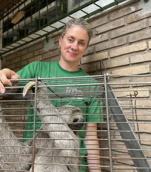 Bicho‑preguiça resgatado em micro-ônibus entre Coqueiro Seco e Maceió recebe cuidados no Ibama