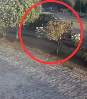 Idoso que trafegava de bicicleta é atropelado por caminhonete em Arapiraca