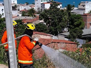 Maragogi: Bombeiros combatem incêndio em área de vegetação 