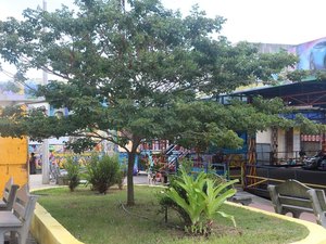 Prefeitura de Campestre publica resultado final das eleições do CAMPREVI