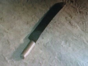 Homem é assassinado na zona rural de Palmeira