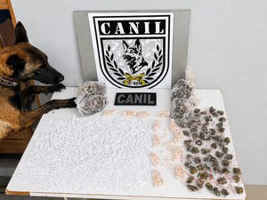 Drogas são encontradas em área de mata durante treinamento da PM em Arapiraca