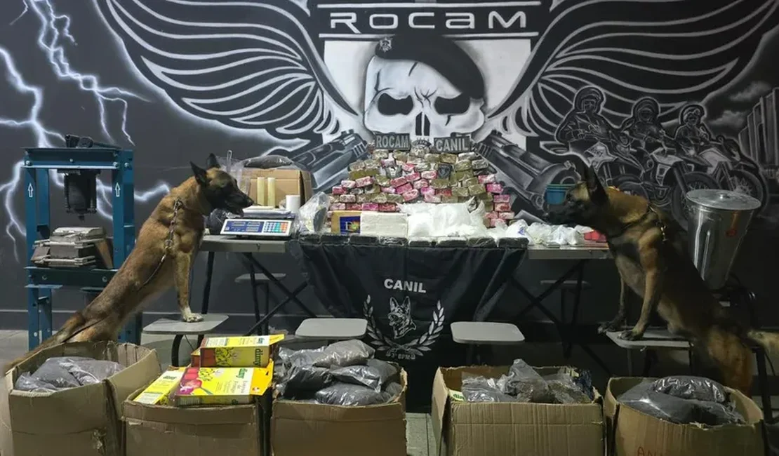 [Vídeo] PM detalha apreensão de mais de 50 kg de drogas em casa abandonada em Arapiraca