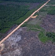 Alertas de desmatamento caem 35% na Amazônia e 6% no Cerrado