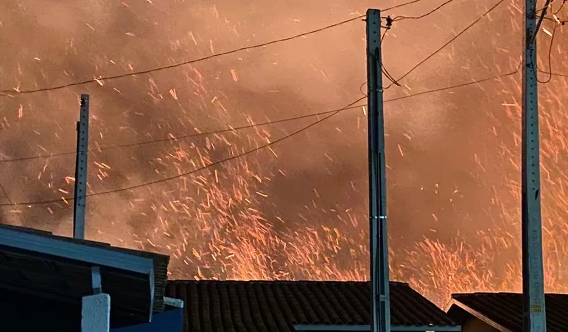 Canaviais pegam fogo próximo a condomínio no bairro da Cidade Universitária