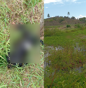 Animais são encontrados sem cabeça e em carne viva na zona rural de Maragogi