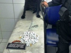 Cadela farejadora encontra drogas que estavam escondidas em matagal