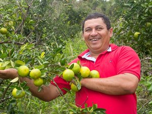 Dados do PIB dos municípios alagoanos é divulgado; o destaque do ano é Santana do Mundaú
