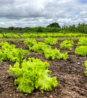 Governo fortalece programas e beneficia mais de 60 mil agricultores familiares em Alagoas