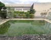 Moradores denunciam piscina abandonada com possível foco do mosquito da dengue em Arapiraca