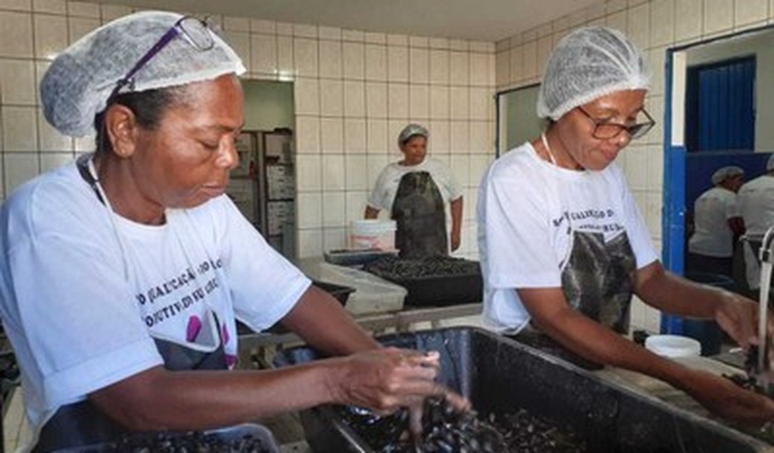 Ufal realiza campanha para ajudar marisqueiras de Alagoas