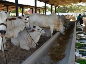 Expoagro deve quebrar recordes de faturamento em 2015
