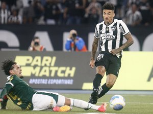 Botafogo, Palmeiras ou Fortaleza? Veja as chances de título do Brasileirão