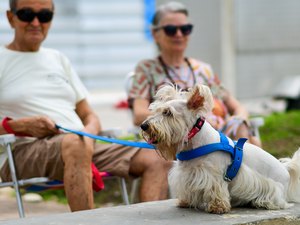 Sesau alerta sobre controle de doenças transmitidas entre animais e seres humanos