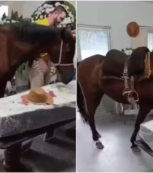 [Vídeo] Égua relincha ao ver tutor em caixão e emociona família durante velório em SC