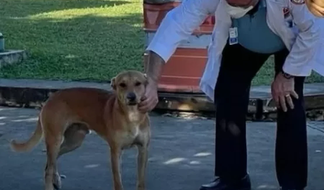 Cachorro 'guarda' corpo de dono após homem morrer em Porto Rico