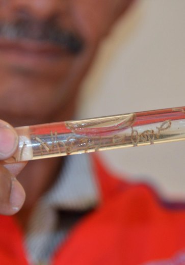 Chegada do Verão acende sinal de alerta para prevenção contra a dengue em AL