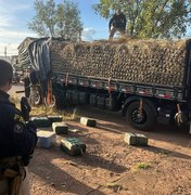PRF apreende quase meia tonelada de cocaína em caminhão carregado com abacaxi