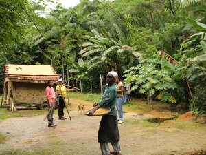 Aplicativo mapeia 5,3 mil comunidades em territórios tradicionais