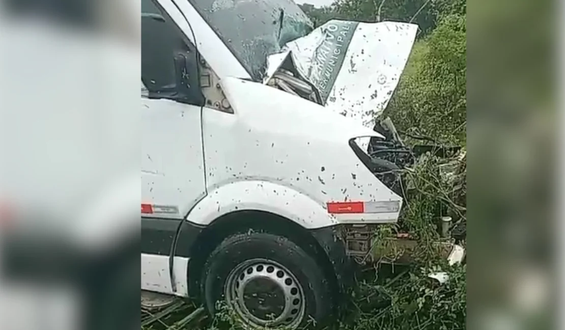 Van colide com dois cavalos soltos na pista em Maravilha, Alagoas