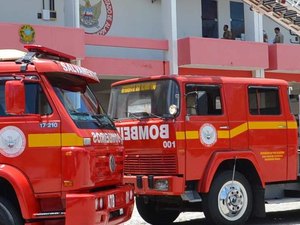 Bombeiros resgatam cobra dentro de máquina de lavar em residência de Arapiraca