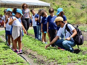 Estudantes conhecem modelo cooperativo e agroecológico de produção de alimentos