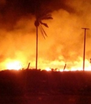Incêndio atinge vegetação em União dos Palmares e moradores deixam residência