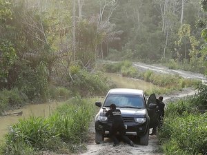 Acompanhada da PF e da Força Nacional, equipe do Ibama é alvo de tiros no Pará