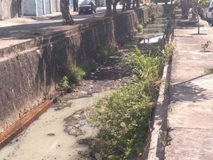 Bombeiros se mobilizam para resgatar cachorro que caiu no Riacho do Sapo