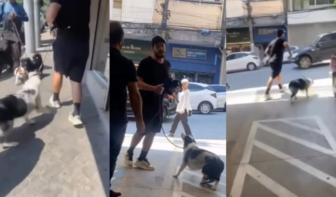 [Vídeo] Homem invade pet shop, rouba cachorro que estava para adoção e deixa funcionários feridos