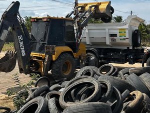 Programa da Secretaria de Meio Ambiente coleta 297 toneladas de pneus usados em 2024